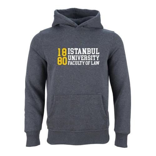 Istanbul Üniversitesi ILSA Model 3