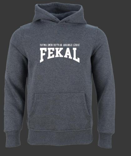 Fatma Emin Kutvar Anadolu Lisesi Model 1